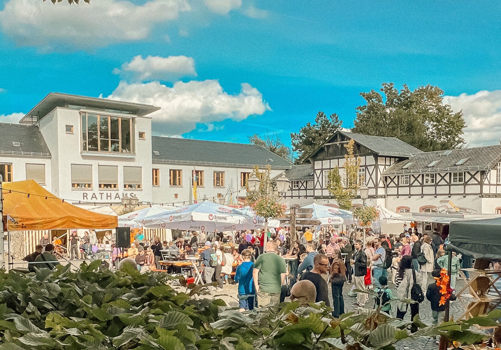 3-Gründe_Bilder_1_Start_Website_Plaschis Ob Fastnacht, Oktoberfest, Vereinsausflug oder Weihnachtswanderung: Als Plaschi gestaltest Du das bunte Leben in Königstein mit – voller Freude, Engagement und gelebter Tradition.